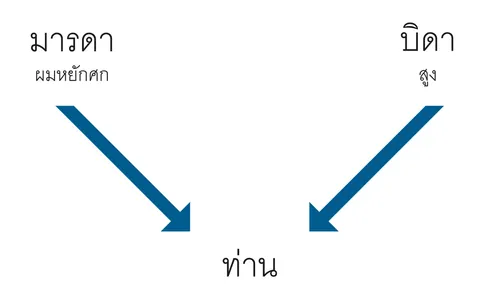 แผนภาพ บิดามารดา คุณลักษณะ ตัวท่าน