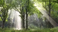 Light shines through a forest during the First Vision