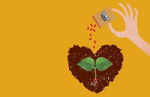 播下福音的種子