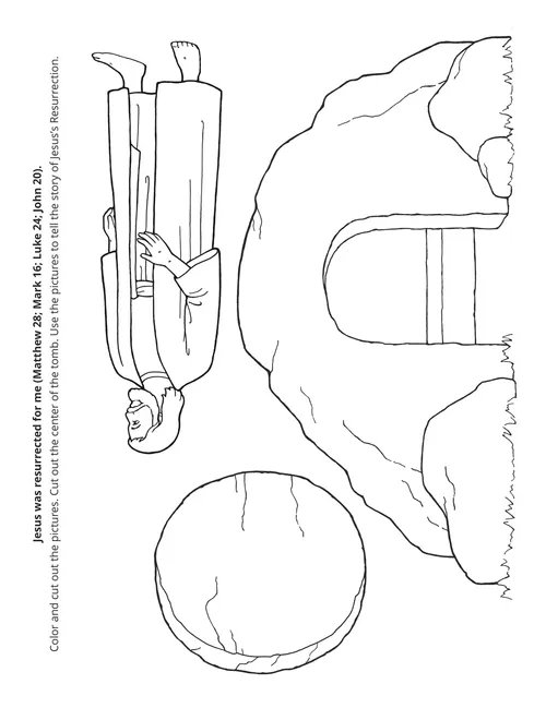 2026 CFM Primary Activity Page