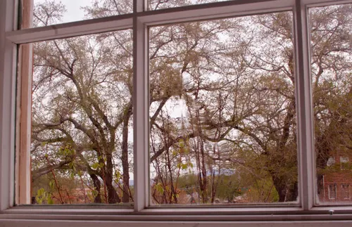 A view of the outdoors as seen through a window in the St. George Tabernacle