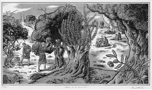 Allegory of the olive tree