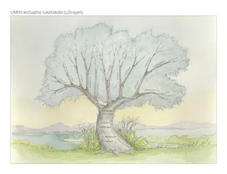 Umthi wosapho lukaYakobi