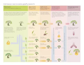 дијаграм алегорије о дрвету маслине