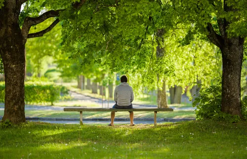 man sitting on a bench beneath large trees