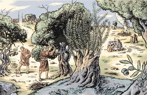 people working in vineyard