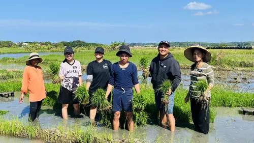 Missionaries help plant rice.