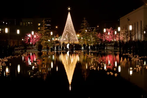 A nighttime view of the shape of a Christmas tree fashioned out of white Christmas lights on Temple Square in December.
