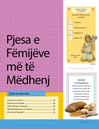 Historia në formatin PDF