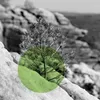 black-and-white image of small tree with superimposed green circle