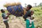 Lifting Lives of Families in Liberia: Farmers