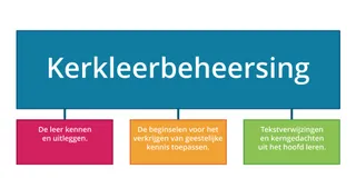 schema kerkleerbeheersing