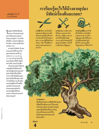 What Can We Learn from the Allegory of the Olive Tree