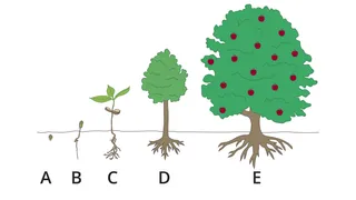 2026 Old Testament Seminary Teacher Materials