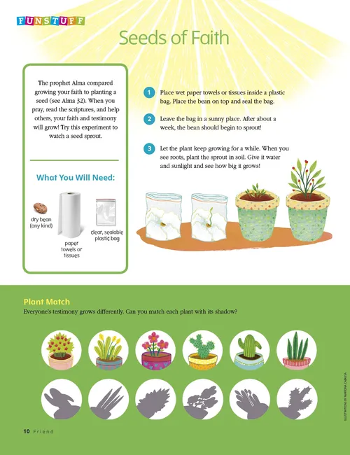 planting seed activity