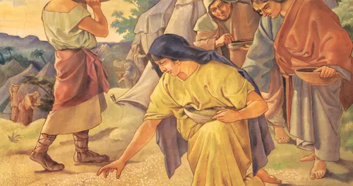 woman collecting manna