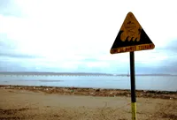 Chilean Relief Efforts