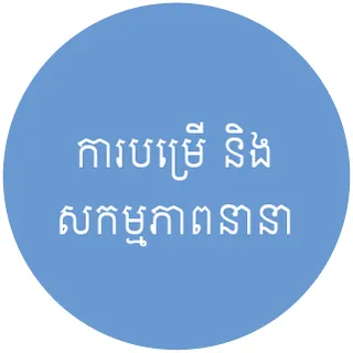 រូបតំណាង​ការបម្រើ និង​សកម្មភាព​នានា
