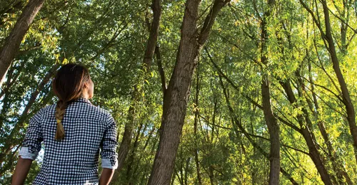 young woman in forest