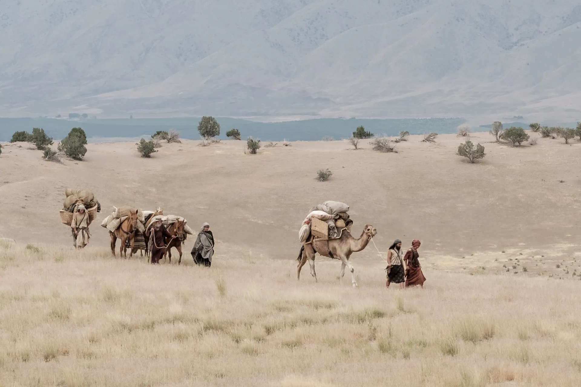 Lehi's sons and Ishmael's family travel in the wilderness.