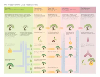 Chart of Olive Tree Allegory
