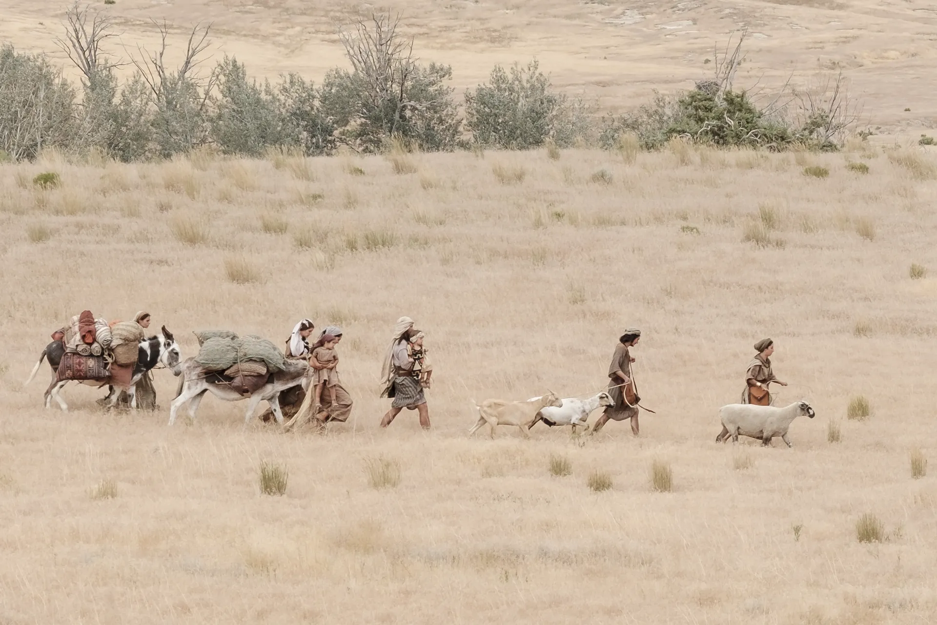 Ishmael's family travels with Nephi and his brothers through the wilderness.