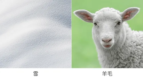 雪和羊毛對照