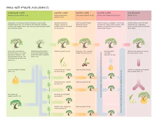 የወይራ ዛፎች ምሳሌን የሚገልፅ ሰንጠረዥ