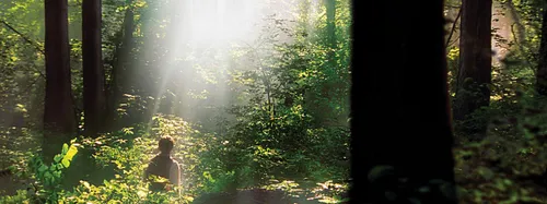 A movie still of God the Father and Jesus Christ appearing to Joseph Smith.