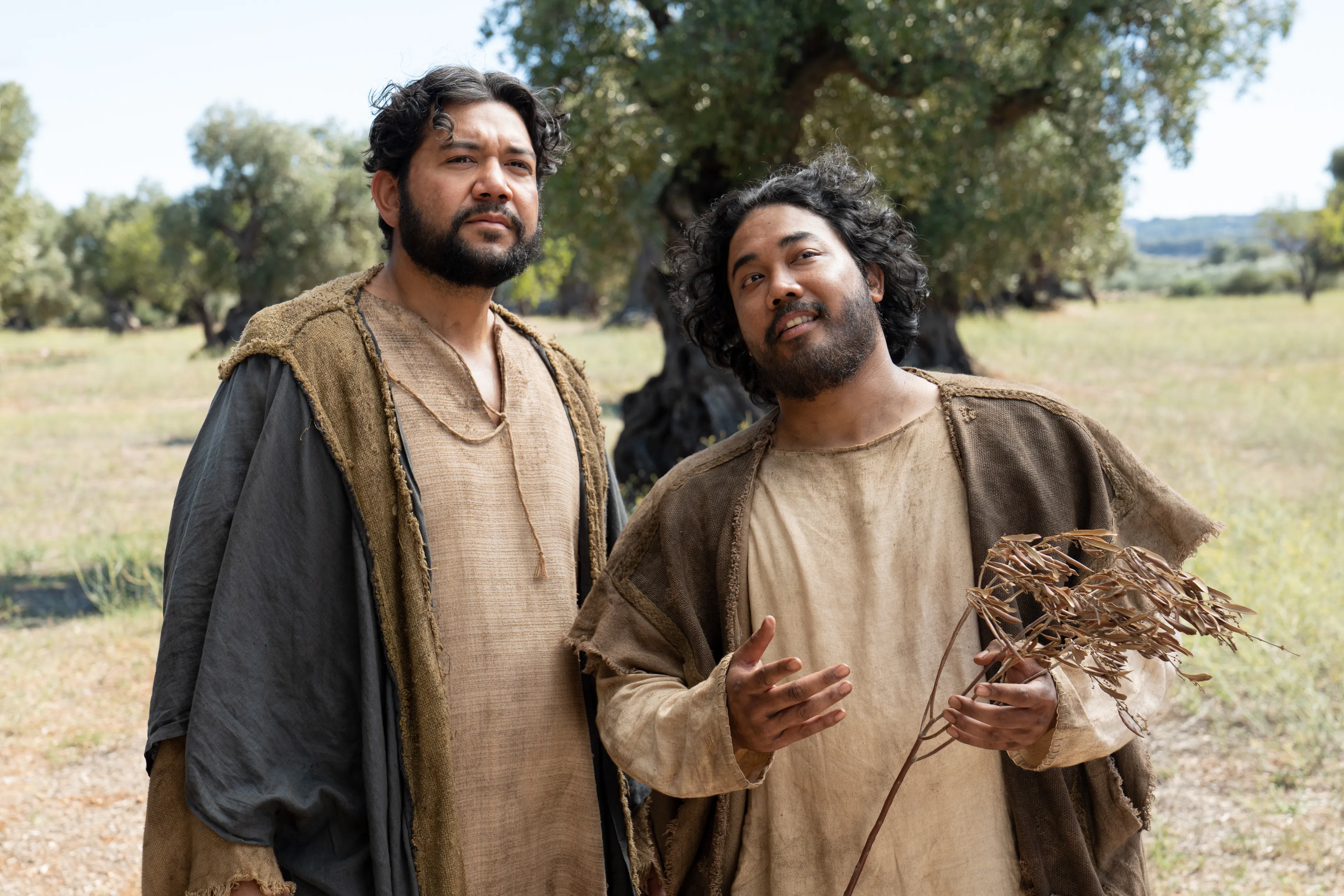 The Lord of the Vineyard speaks to his servant as they inspect the small and tender branches of the olive trees. This is part of the olive tree allegory mentioned in Jacob 5.