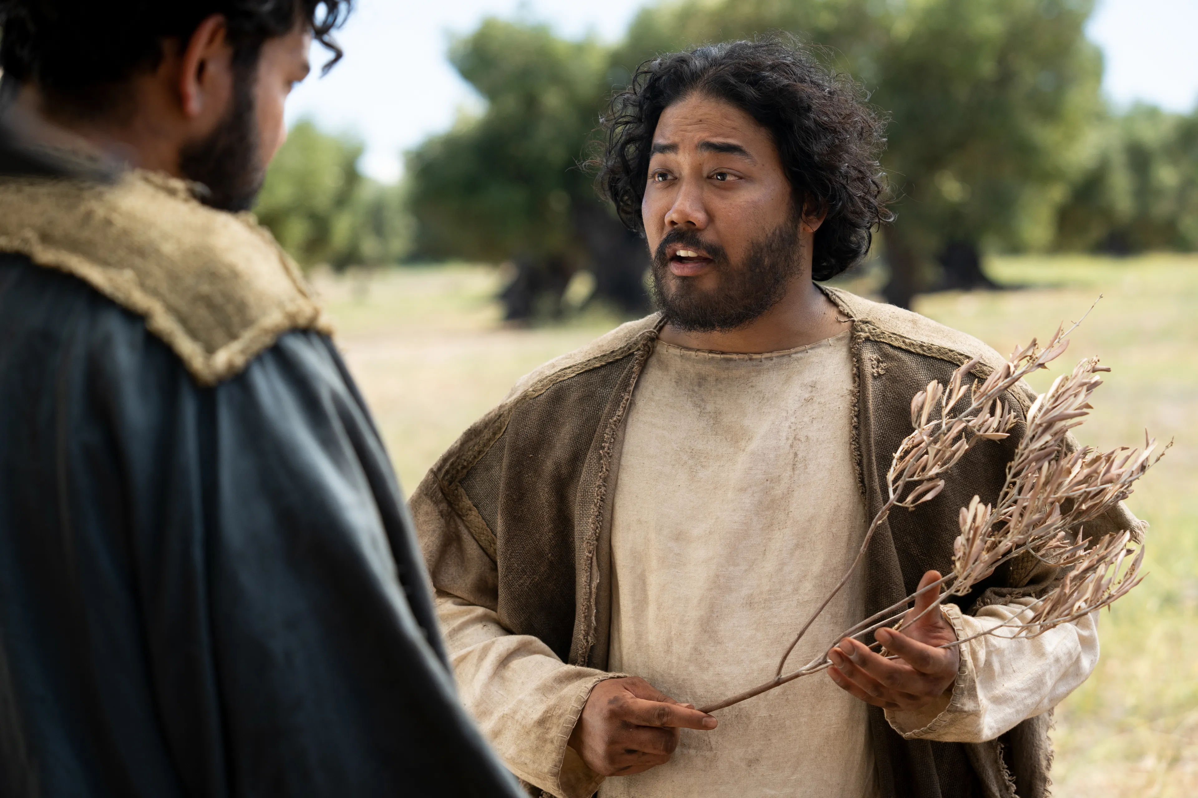 The Lord of the Vineyard speaks to his servant as they inspect the small and tender branches of the olive trees. This is part of the olive tree allegory mentioned in Jacob 5.