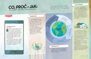 a breakdown of the restoration 1