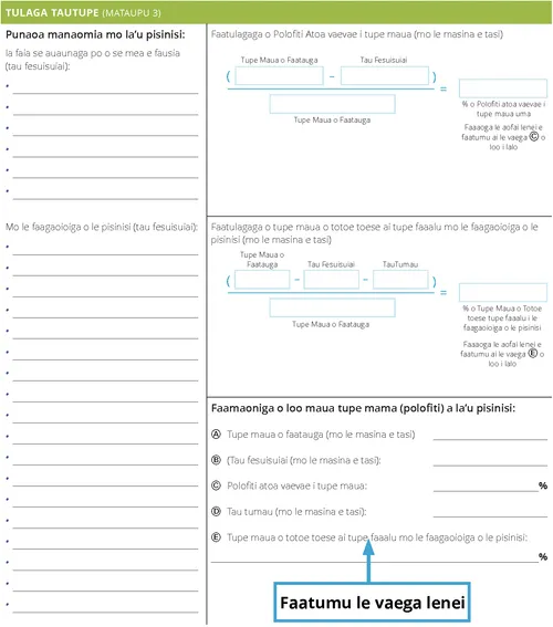 Faataitaiga: Faamaoniga o la’u pisinisi e maua tupe