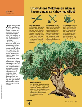 What Can We Learn from the Allegory of the Olive Tree