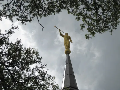 An image of the golden angel Moroni statue atop the spire of the Sacramento California Temple, with the leaves of trees seen nearby.