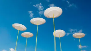 A collection of spinning plates 