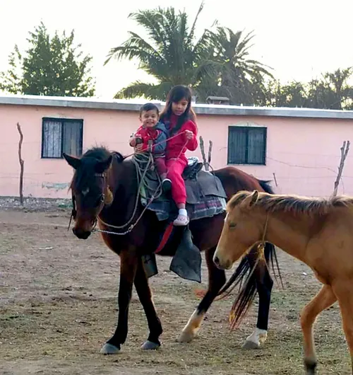 Emily riding a horse