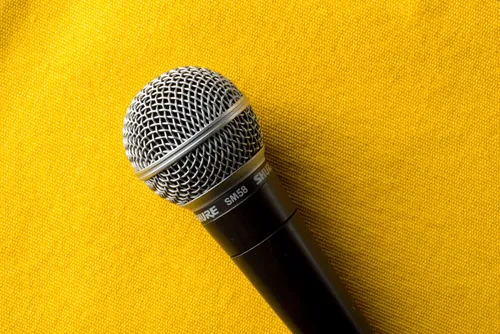 Microphone