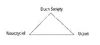 Triangle Diagram