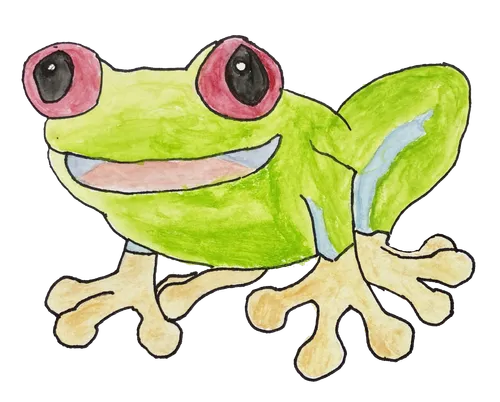 drawing of tree frog