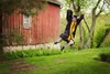 graduate jumping