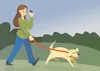 woman in the phone walking dog