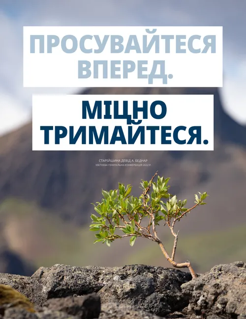 плакат із рослиною, яка росте на камені