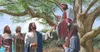 Jesus and Zaccheus