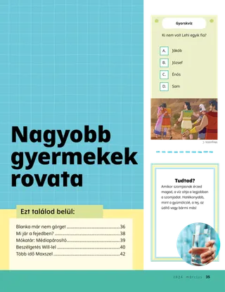 Történet PDF-je