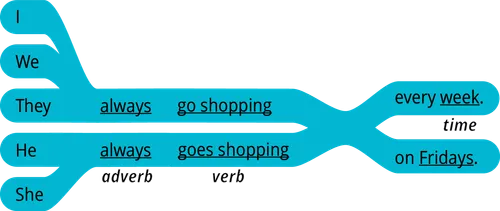 pattern 2 answer I adverb verb every time