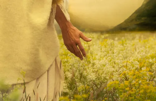 Savior walking in a field