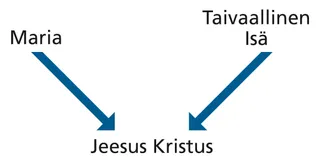 kaavio Jeesuksen Kristuksen syntyperästä