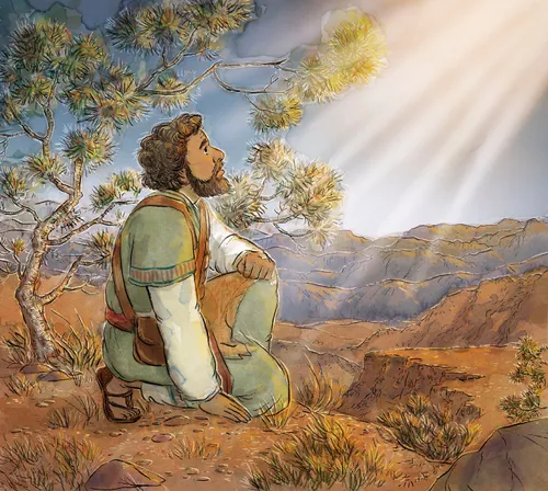 Joshua kneeling and looking up at a ray of light