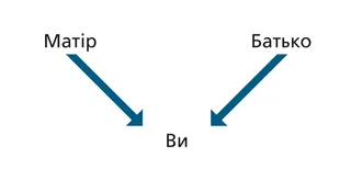 схема родоводу